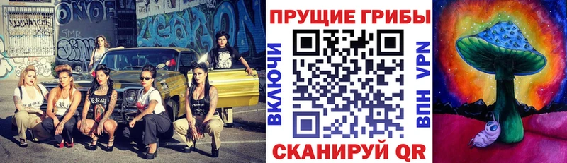 Псилоцибиновые грибы прущие грибы  Купить  Верея 